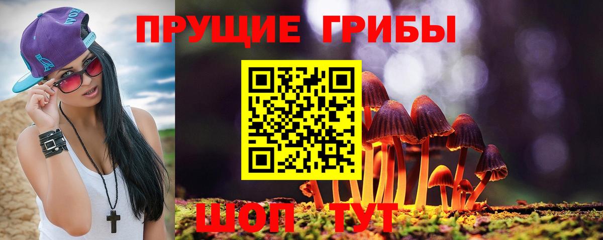 продажа наркотиков  Вход с VPN  Галлюциногенные грибы Psilocybine cubensis  Назрань  Псилоцибиновые грибы ЛСД 